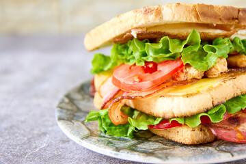 delicious and fresh sandwich on a slate surface