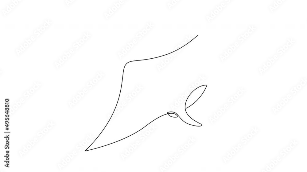 Poster self drawing simple animation of single continuous one line drawing of manta ray. drawing by hand, b