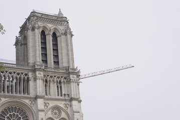 Notre Dame De Paris and a crane. After the fire.