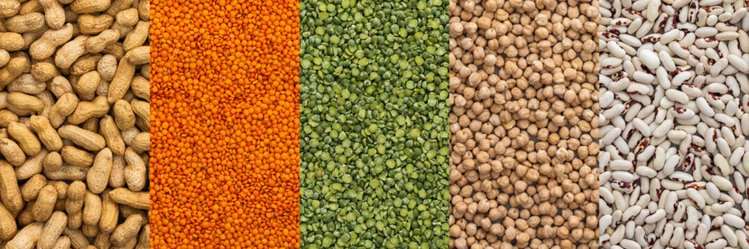 Different types of legumes banner, chickpeas and lentils and peanuts, white beans and green peas , top view