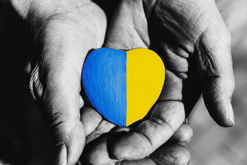 Senior man or soldier hands holding heart shape stone painted with Ukraine national flag colors....