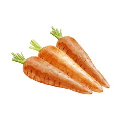 Carrot watercolor illustration on black background