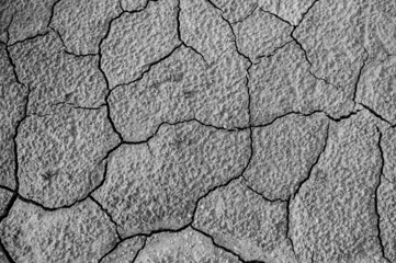 Fototapety  Closeup shot of cracks in the sand and mud because of heat in greyscale