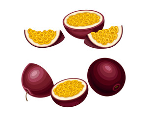 Fresh ripe passionfruit set. Whole and pieces of sweet exotic maracuya fruit vector illustration