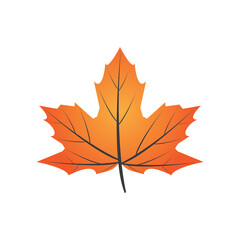 leaf logo vector template symbol design and icon