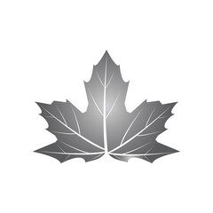 leaf logo vector template symbol design and icon