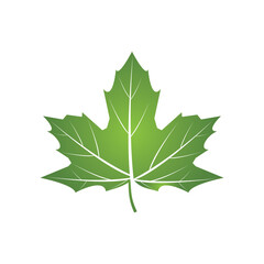 leaf logo vector template symbol design and icon