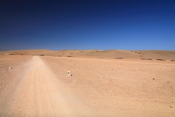 Agafay desert road in Morocco