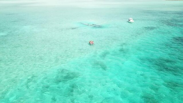 Downed plane of Pablo Escobar. Bahamas. No filters.