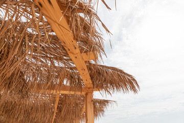 Beach with parasols and sunbeds with palm leaves at the Red Sea resort