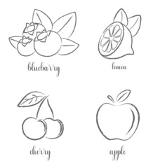 Hand draw frutis, set. Apple, lemon, cherry, blueberry.