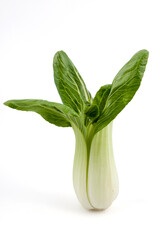 bok choy on a white background.