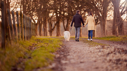 Fototapeta premium Rear View Of Couple Walking Pet Dog Through Winter Countryside