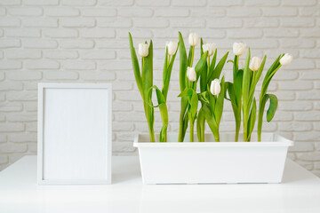 White tulips grow in a flowerpot, a vertical frame stands nearby