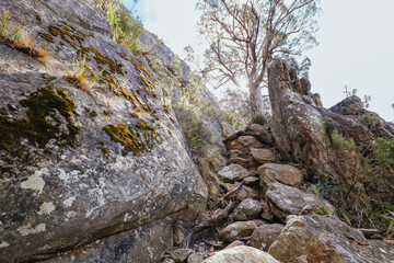 Sugarloaf Peak Hike near Marysville in Australia