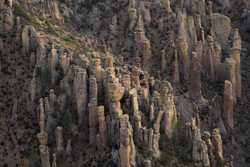 Spring landscape of the hoodoos of Chiricahua National Monument, Arizona, USA