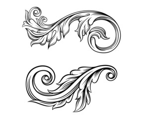 Hand drawn leaves set. Classic floral decor element vector illustration