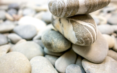 Fototapeta na wymiar Summer. Seashells, rocks, seashore. Close-up concept, background, design.