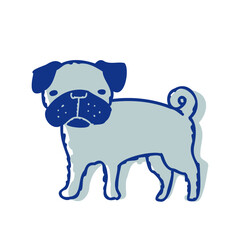 こちらを見ているパグ犬