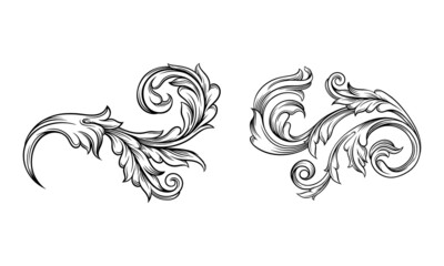 Monochrome floral decor element set. Highly detailed hand drawn leaves vector illustration