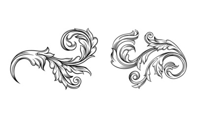 Fototapeta premium Monochrome floral decor element set. Highly detailed hand drawn leaves vector illustration