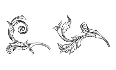 Highly detailed hand drawn leaves. Monochrome floral decor element vector illustration