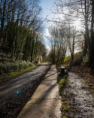 footpath in the woods on a winter day