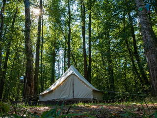 Glamping cabin in the woods