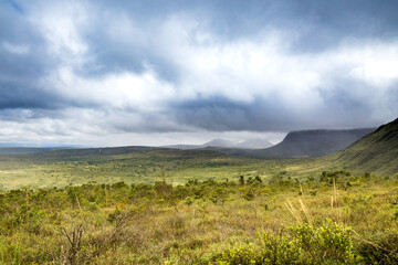 Landscape of a field covered in greenery and fog under a stormy sky in the countryside