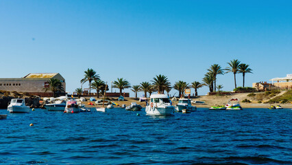 Fototapeta na wymiar Barcos amarrados en la costa de tabarca con palmeras de fondo