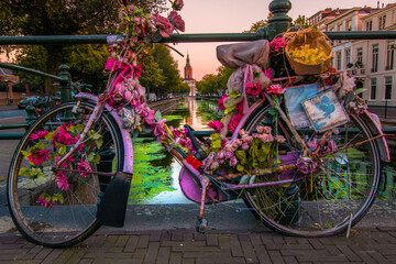 Old parked bicycle decorated with colorful flowers in the park at sunset