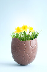 Chocolate easter egg spring flowers