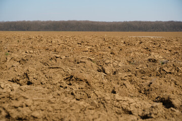 arable land. drought in the spring of 2022 in Baragan, Romania.