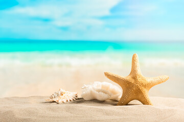 Fototapeta na wymiar Summer beach with starfish and shells. Background sea.