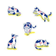 さまざまなポーズの猫　バリエーション　セット