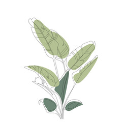 Tropical palm leaves. Exotic plants. Minimal and natural wall art