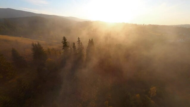 Aerial cinematic video of foggy sunrise bright sky in the mountains. Picturesque misty landscape of wild forests. Travel. Journey. FPV drone views.