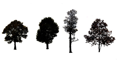 Collection of black tree silhouettes isolated on white background , silhouette of trees,dead tree from thailand