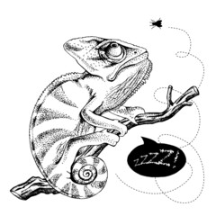 Poster with image of a Chameleon on a branch with fly. Vector black and white  illustration.
