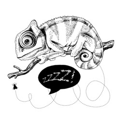 Poster with image of a Chameleon on a branch with fly. Vector black and white  illustration.