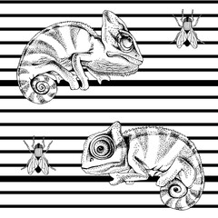 Seamless pattern with image of a Chameleon with fly on a geometric striped background. Vector black and white  illustration.