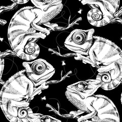 Seamless pattern with image of a Chameleon on a branch with fly. Vector black and white  illustration.