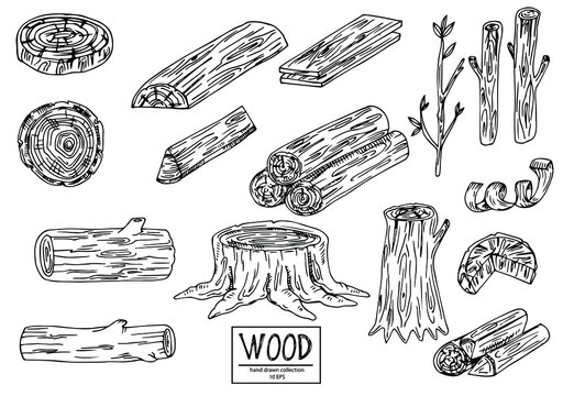 Wood set. Planks and logs, lumber and Cuts, Firewood in vintage style. Pieces of Tree. Vector illusion for signboard, labels, logo or banner. Campfire material. Engraved Hand drawn sketch.