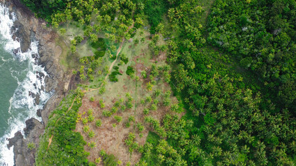 green moss on the rocks