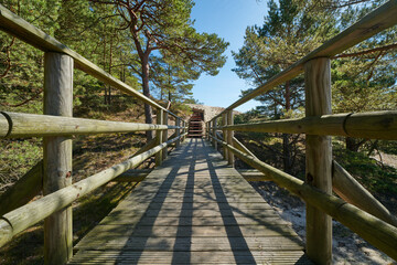 Drewniany pomost, kładka na szlaku turystycznym. Wydmy, morze, wiosna, lato, słoneczny dzień.