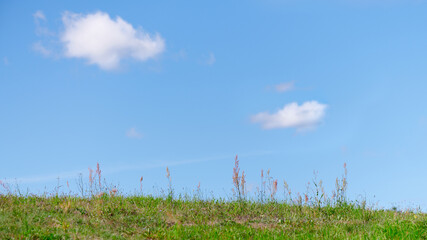 Błękitne niebo i białe obłoczki na skraju łąki. Wiosna, lato, słoneczny dzień, ciepło.