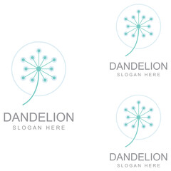 Dandelion flower logo and symbol design vector illustration template