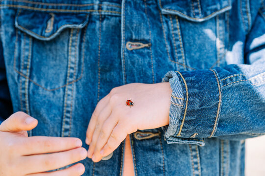 Unrecognizable kid with ladybird on hand