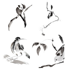 Collection of small birds on branches painted with minimum strokes (ink and watercolors on xuan paper, oriental style). Texture of paper and brush strokes - intact. Background`s been removed.