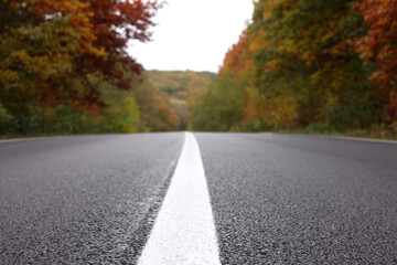 Fototapeta na wymiar Beautiful view of asphalt highway going through autumn forest